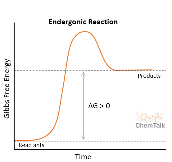 <p>Endergonic</p>