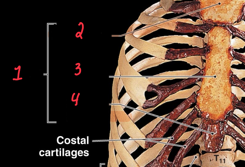 <p>Define the following in order.</p>