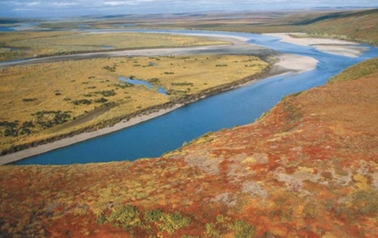 <p>A treeless biome in the far north with boggy plains, lichens, and small plants, experiencing harsh winters and short summers.</p>