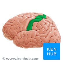 <p></p>