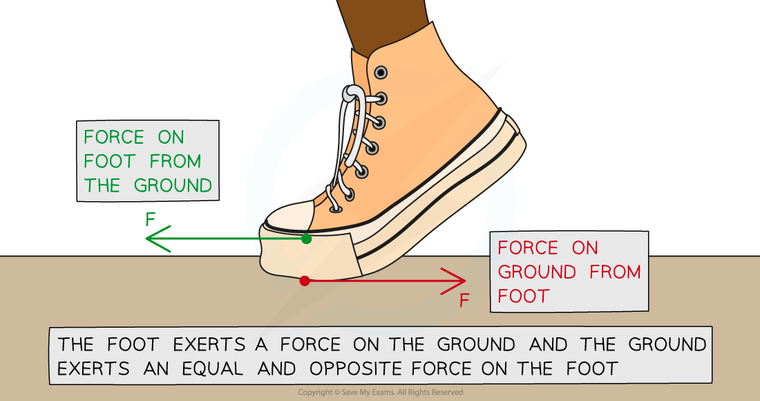 <p><strong>Newton's Third Law states: If Object A exerts a force on Object B, then Object B will exert a force on Object A which is equal in magnitude but opposite in direction</strong></p><p>Two objects interact, forces involved are in pairs: <strong>third-law pairs</strong></p><p>A Newton's third law force pair must be: </p><p><strong>Same</strong>&nbsp;<strong>type</strong>&nbsp;of force,&nbsp;<strong>same magnitude, Opposite</strong>&nbsp;in&nbsp;<strong>direction,</strong> Acting on&nbsp;<strong>different objects</strong></p><ul><li><p><strong>Foot</strong>&nbsp;pushes on the&nbsp;<strong>ground</strong>&nbsp;and the&nbsp;<strong>ground</strong>&nbsp;pushes back on the&nbsp;<strong>foot.</strong></p></li><li><p>Both forces are <strong>normal contact force,</strong>&nbsp;<strong>equal magnitude, opposite in direction, a</strong>cting on&nbsp;<strong>different objects</strong>&nbsp;(the foot and the ground)</p></li></ul><p></p>