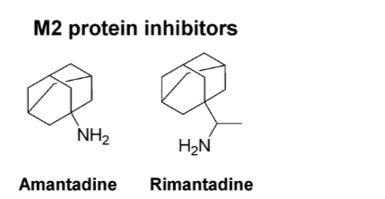 <p>m2 protein inhibitors: amantadine, rimantadine</p>