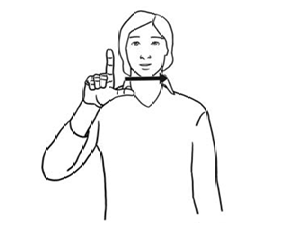 term image
