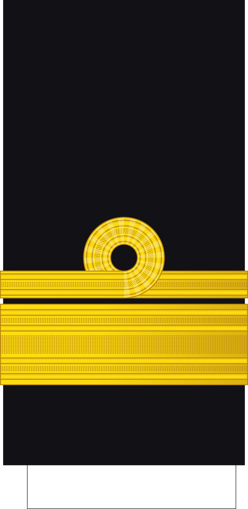 <p>What rank is this?</p>