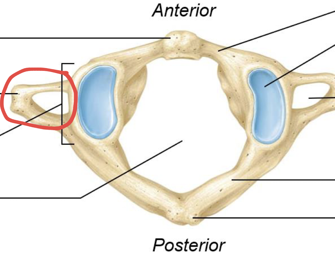 <p>what is this?</p>