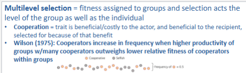 <p>J.B.S. Haldane famously quipped that he would be willing to lay down his life for <strong>“two brothers or eight cousins”</strong> to illustrate the concept of <strong>kin selection</strong>, a foundational idea in evolutionary biology.</p><p class="">According to <strong>Hamilton's Rule</strong>, an altruistic behavior (like sacrificing oneself) can evolve if the <strong>cost to the individual</strong> is outweighed by the <strong>benefit to the recipient</strong>, discounted by how closely related they are. The rule is often written as:</p><figure data-type="blockquoteFigure"><div><blockquote><p class=""><strong>r × B &gt; C</strong></p></blockquote><figcaption></figcaption></div></figure><p class="">Where:</p><ul><li><p class=""><strong>r</strong> is the coefficient of relatedness between the actor and the recipient,</p></li><li><p class=""><strong>B</strong> is the benefit to the recipient,</p></li><li><p class=""><strong>C</strong> is the cost to the actor.</p></li></ul><p class="">In Haldane's example:</p><ul><li><p class="">A <strong>brother</strong> shares 50% (r = 0.5) of his genes.</p></li><li><p class="">A <strong>cousin</strong> shares 12.5% (r = 0.125) of his genes.</p></li></ul><p class="">So:</p><ul><li><p class="">Saving <strong>2 brothers</strong> gives a genetic payoff of 2 × 0.5 = <strong>1.0</strong></p></li><li><p class="">Saving <strong>8 cousins</strong> gives 8 × 0.125 = <strong>1.0</strong></p></li></ul><p class="">That equals the loss of his own 1.0, making the altruistic act "genetically" worthwhile in both cases. Haldane’s quote was a clever and memorable way to explain the mathematics behind kin selection.</p>