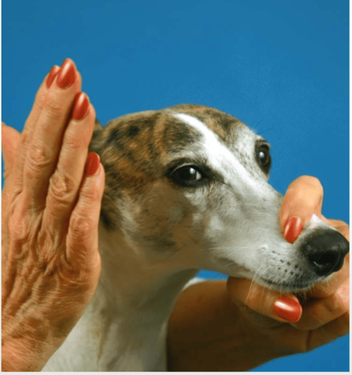 <p>what is this test called? what is it testing?</p>