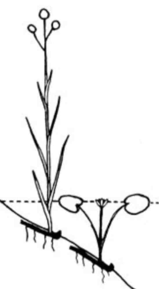 <p>oddenek v bahně na břehu</p>