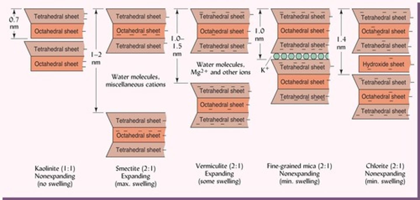 <p>They consist of 2 tetrahedral sheets and 1 octahedral sheet (TOT).</p>