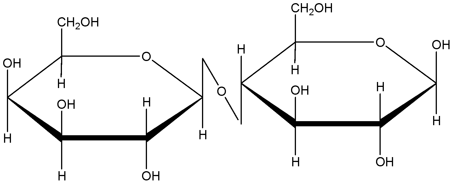 <p>contains a beta bond with a galactose and a glucose</p>