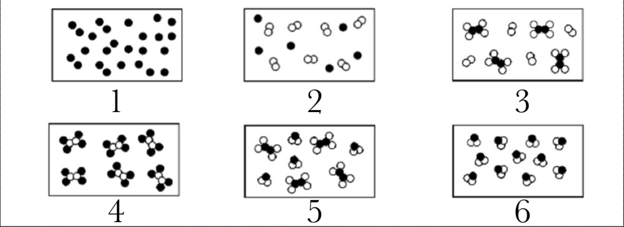 <p>Identify Molecules, Compounds, and Mixtures</p>