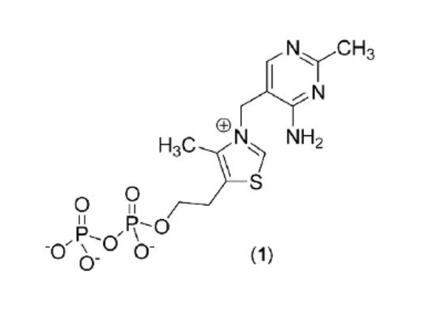 <p>Transfer of aldehyde groups </p>