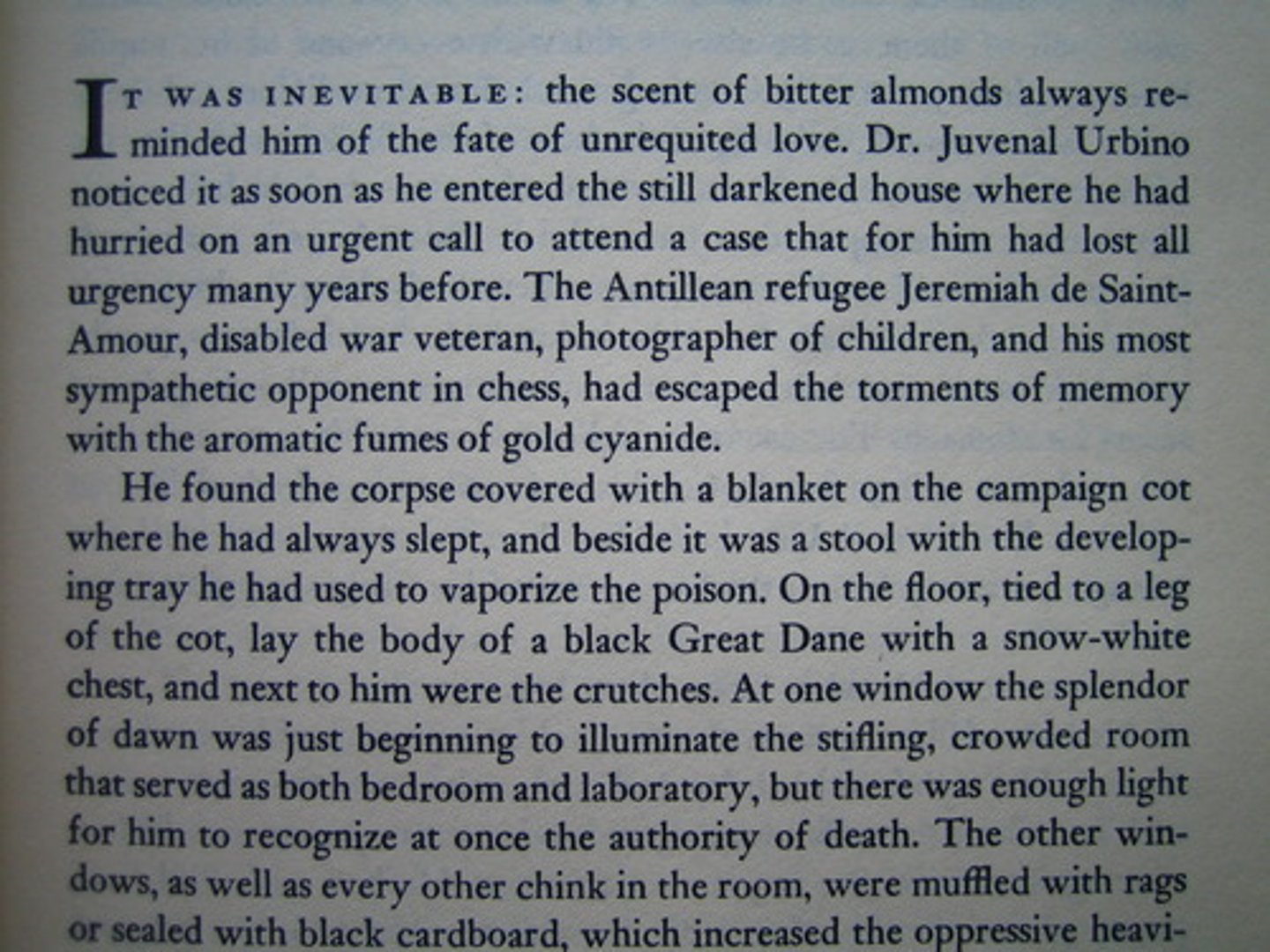 <p>paragraph</p>