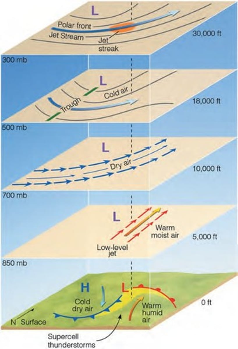 <p>Strong vertical wind shear with a single violently rotating updraft</p>