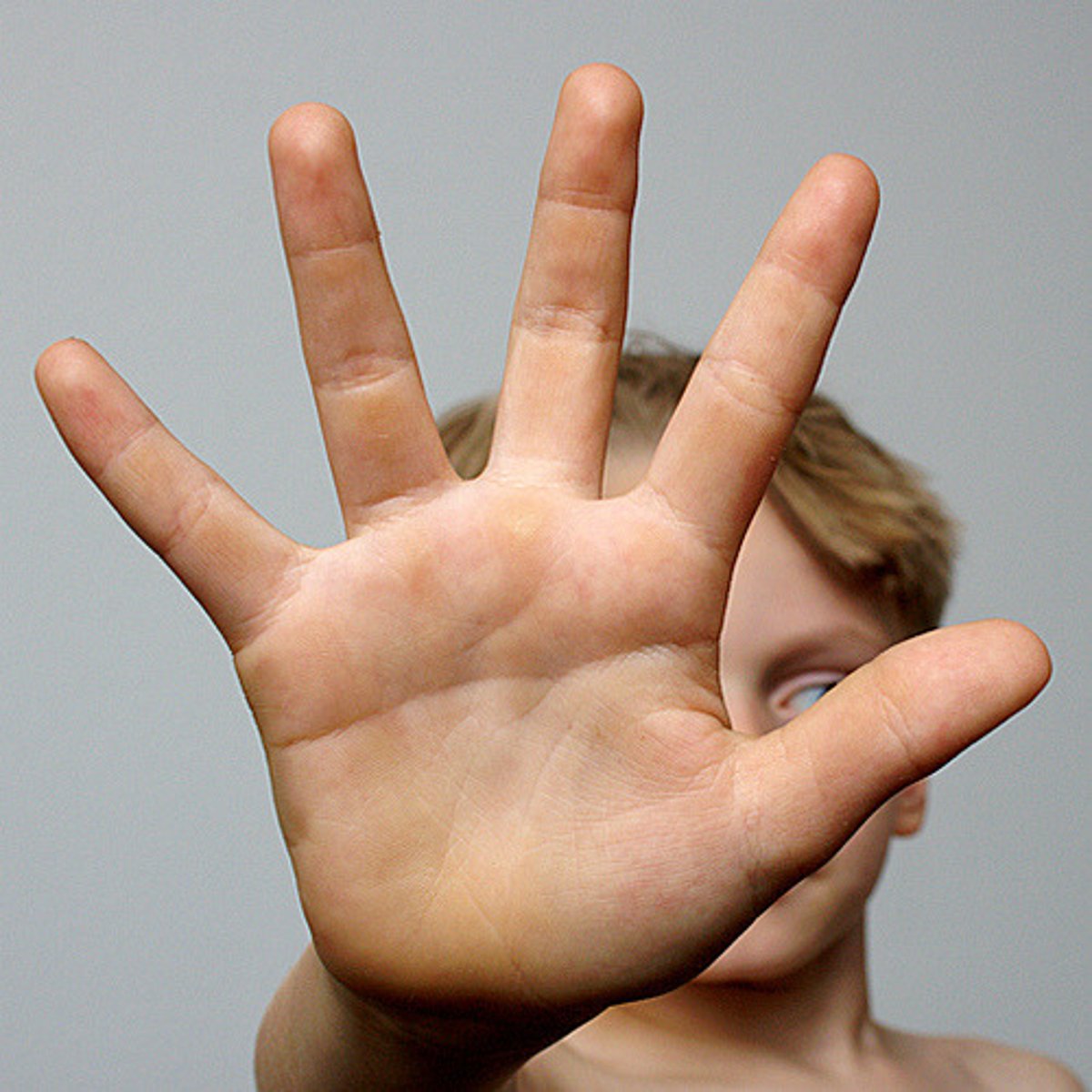 <p>Palm</p>