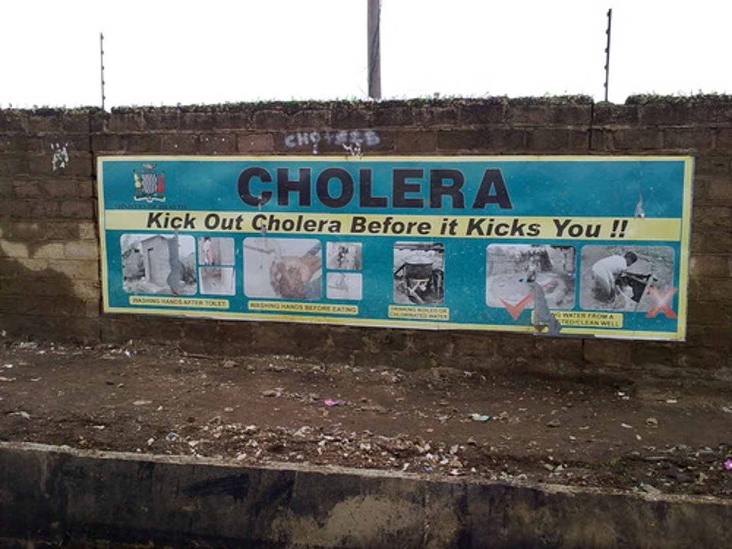 <p>a. Water-borne: caused by ingestion of water that are contaminated by 1) pathogenic microorganisms (e.g. cholera, typhoid) and 2) chemicals that have an adverse effect on health (arsenic, pesticides).</p><p>b. Cholera: pathogenic microorganism that caused death (known in Soho, London)</p><p>c. Cryptosporidium:</p><p>d. Arsenic-associated disease: chemical</p>