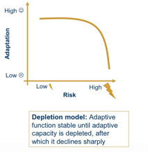 <p>Adaptive function stable until adaptive capacity is depleted, after which is declines sharply</p>