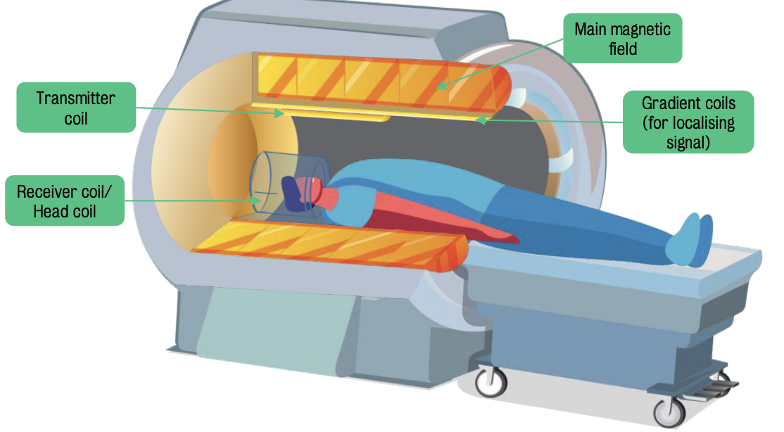 Inside of MRI scanner