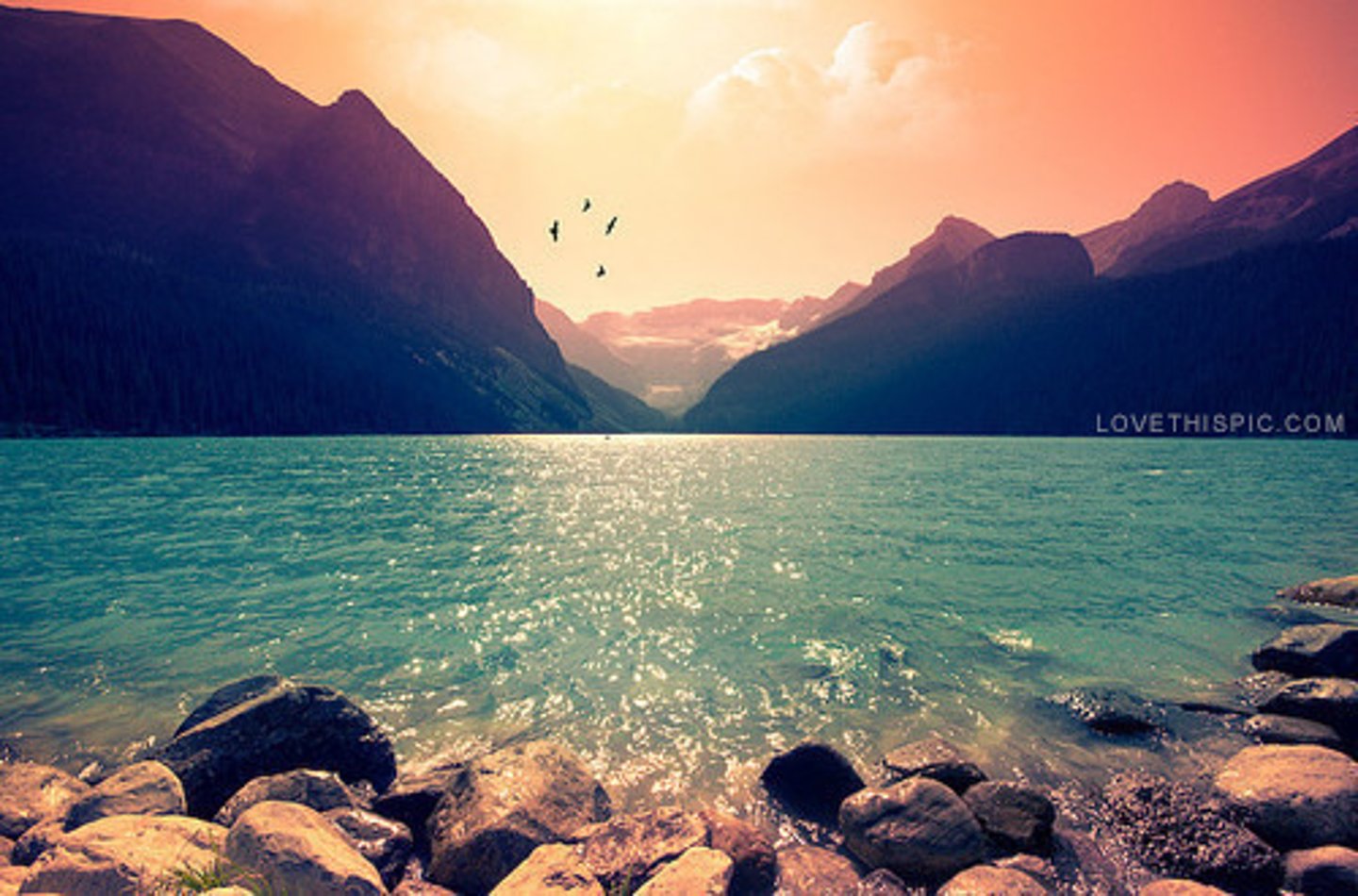 <p>time and place a story occurs</p>