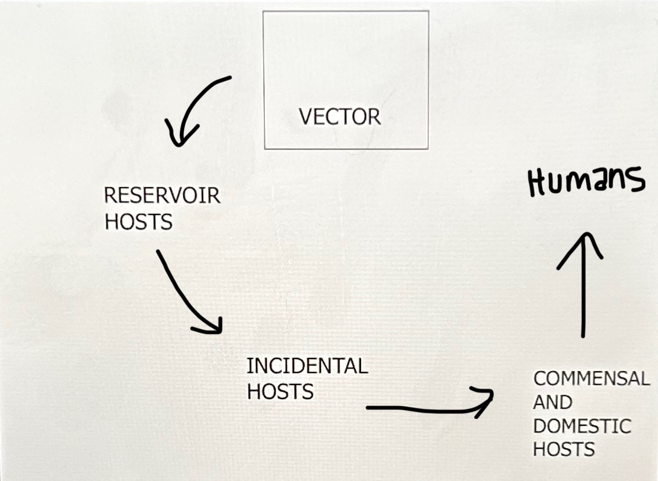 <p>describe examples of each in the image above:</p>