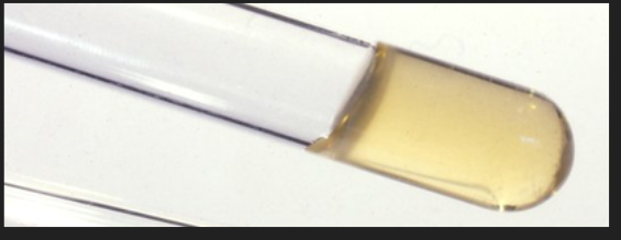 <p>Rabbit Plasma — What are the results for this organism?</p>