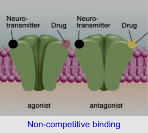 <ul><li><p>It is when a drug binds to a receptor at a site that does not interfere with the binding site of the normal ligand </p></li><li><p>It is possible for a neurotransmitter to bind to one site on a receptor while a drug binds to another site on the same receptor</p></li><li><p>A non-competitive agonist fully or partially activates the receptor </p></li><li><p>A non competitive antagonist fully blocks receptor activation. It doesn’t compete for the neurotransmitter binding site. It wins without competing by binding to an alternative site</p></li></ul><p></p>