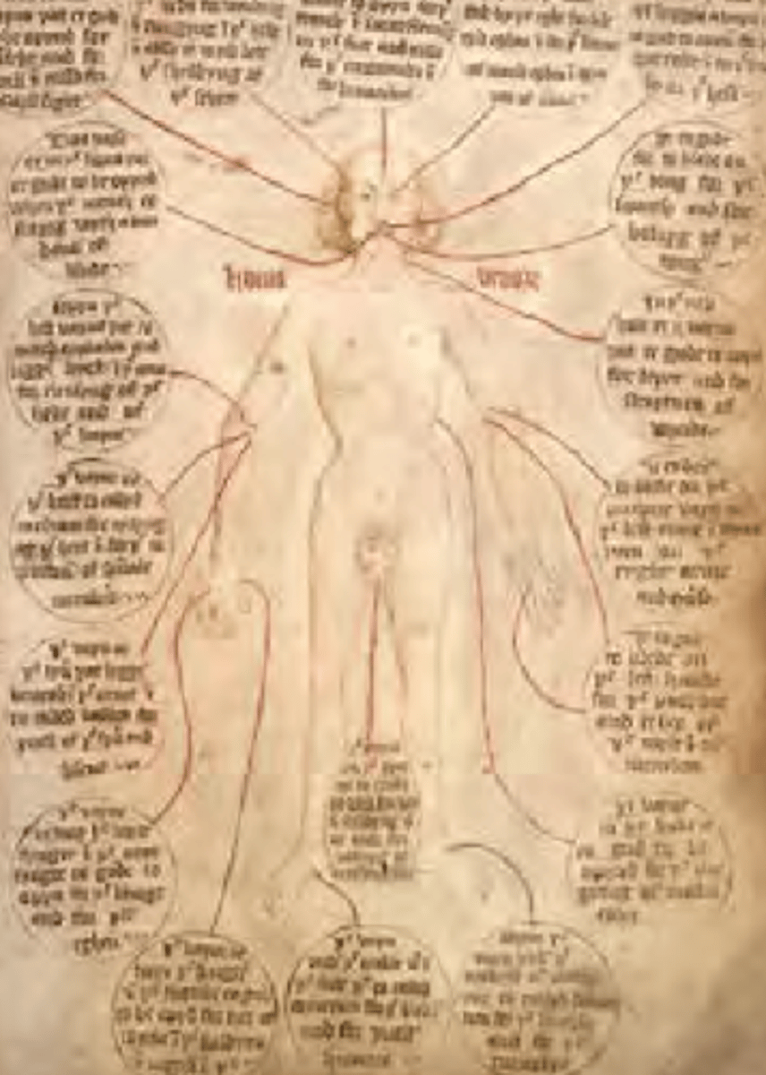 <p>Most physicians during the medieval period carried a Zodiac Chart. These charts would tell a physician which part of the body were linked to which astrological sign, and therefore dictates what they will do to treat their patient. And some treatments might not work on some signs for example a certain herb may work on a virgo but the same herb may not work on a pisces.</p>