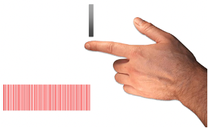 <p>Receptors that continue to respond to a stimulus as long as it is present.</p><p>(respond to pressure stimuli)</p><ul><li><p><span style="color: green">Example</span>: Something is pressing on you for a second and then it goes away</p></li><li><p>These receptors are going to start firing when the pressure starts and then keeps firing the whole time something is touching you</p></li></ul><p></p>
