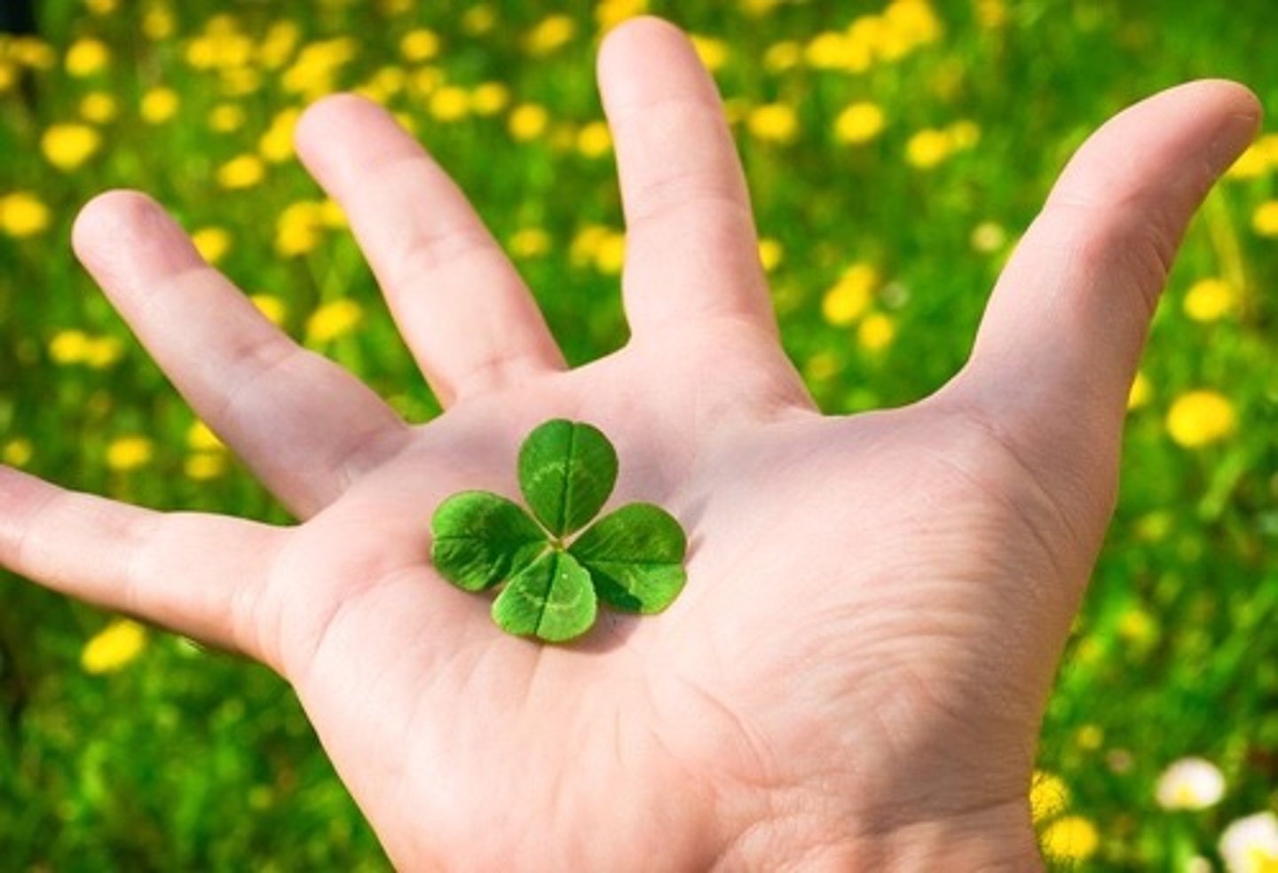 <p>to be lucky; to have good things happen by chance.</p>