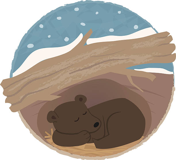 <p>Hibernate</p>