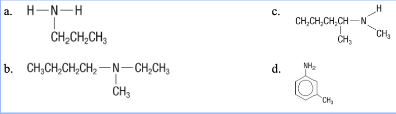 <p>19. What is the structure of <em>N</em>-methylpentan-2-amine?</p><table style="min-width: 50px"><colgroup><col style="min-width: 25px"><col style="min-width: 25px"></colgroup><tbody><tr><td colspan="1" rowspan="1"><p class="p1">a.</p></td><td colspan="1" rowspan="1"><p class="p1">c.</p></td></tr><tr><td colspan="1" rowspan="1"><p class="p1">b.</p></td><td colspan="1" rowspan="1"><p class="p1">d.</p></td></tr></tbody></table><p></p>