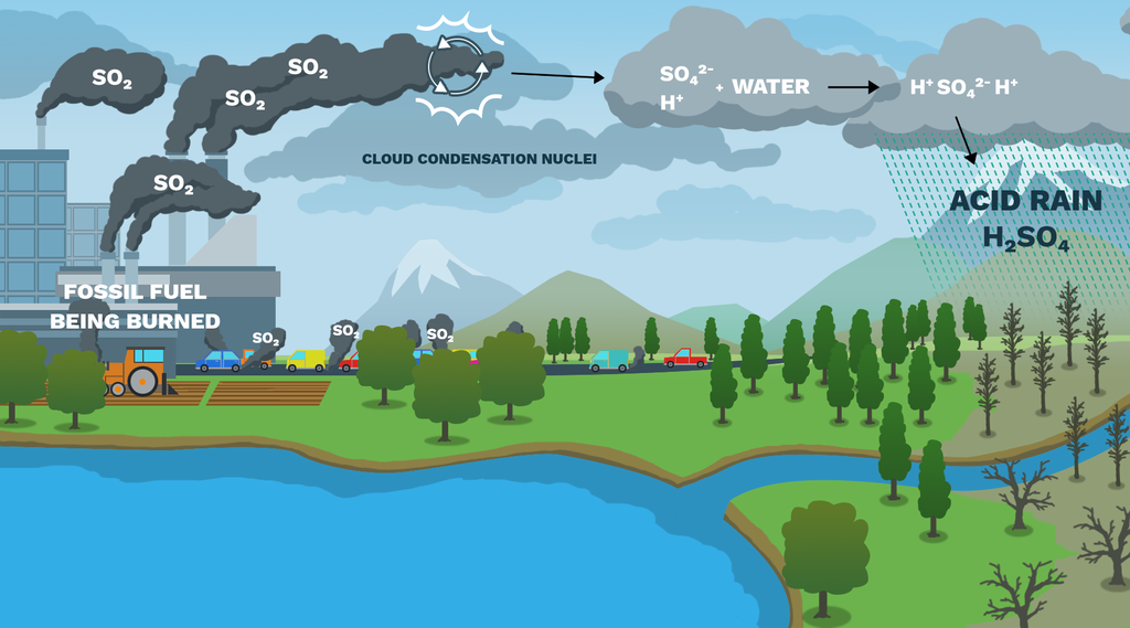 <p>Issues associated with acid rain</p>