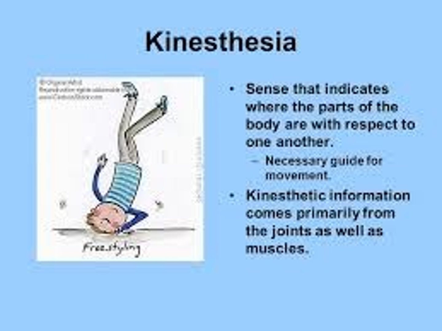 <p>position and movement</p><p>- receptors in joints, muscles, and tendons</p>