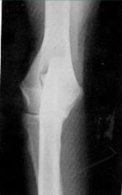 <p>which body part is this?</p>