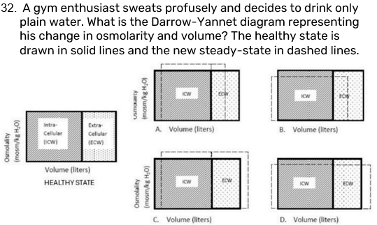 <p>A gym enthusiast sweats profusely and decides to drink only plain water. What is the Darrow-Yannet diagram representing his change in osmolarity and volume? The healthy state is drawn in solid lines and the new steady-state in dashed lines.</p>