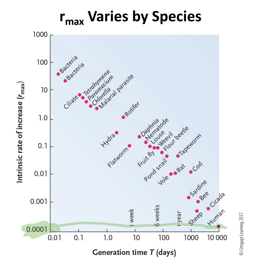 <p>small organisms = large rmax</p><p>large organisms = small rmax</p>
