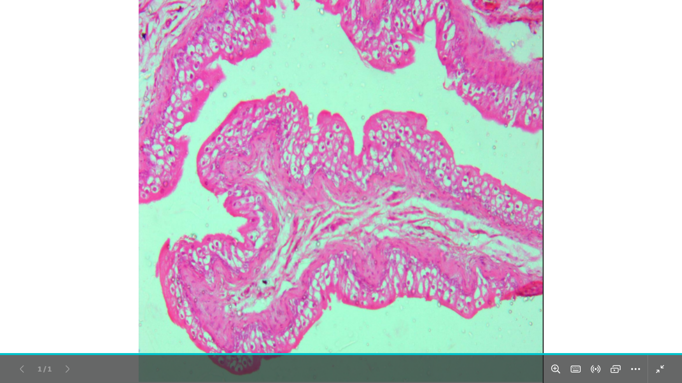 <p>identify </p><p>mention one site </p>