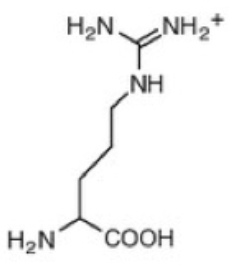 <p>Arginine (R)</p>