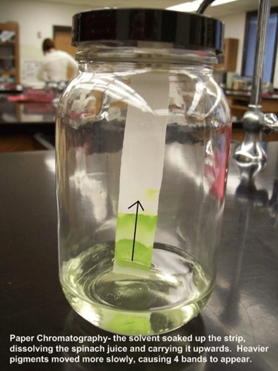 <p>If the tank is open, the solvent may evaporate and not advance up the plate. Having a sealed environment also allows the solvent to saturate the atmosphere inside</p>
