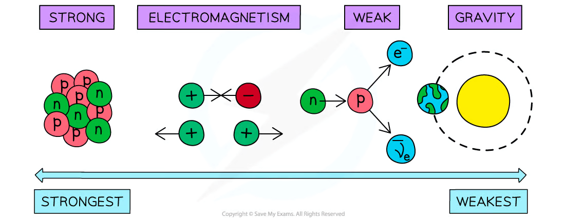 <p><strong>Gravity, Electromagnetism, Strong Nuclear (or Strong Interaction), Weak Nuclear</strong></p><p>Gravity is the weakest of these forces and the gravitational interaction only effects particles with mass, whilst the strong interaction is the strongest.</p>