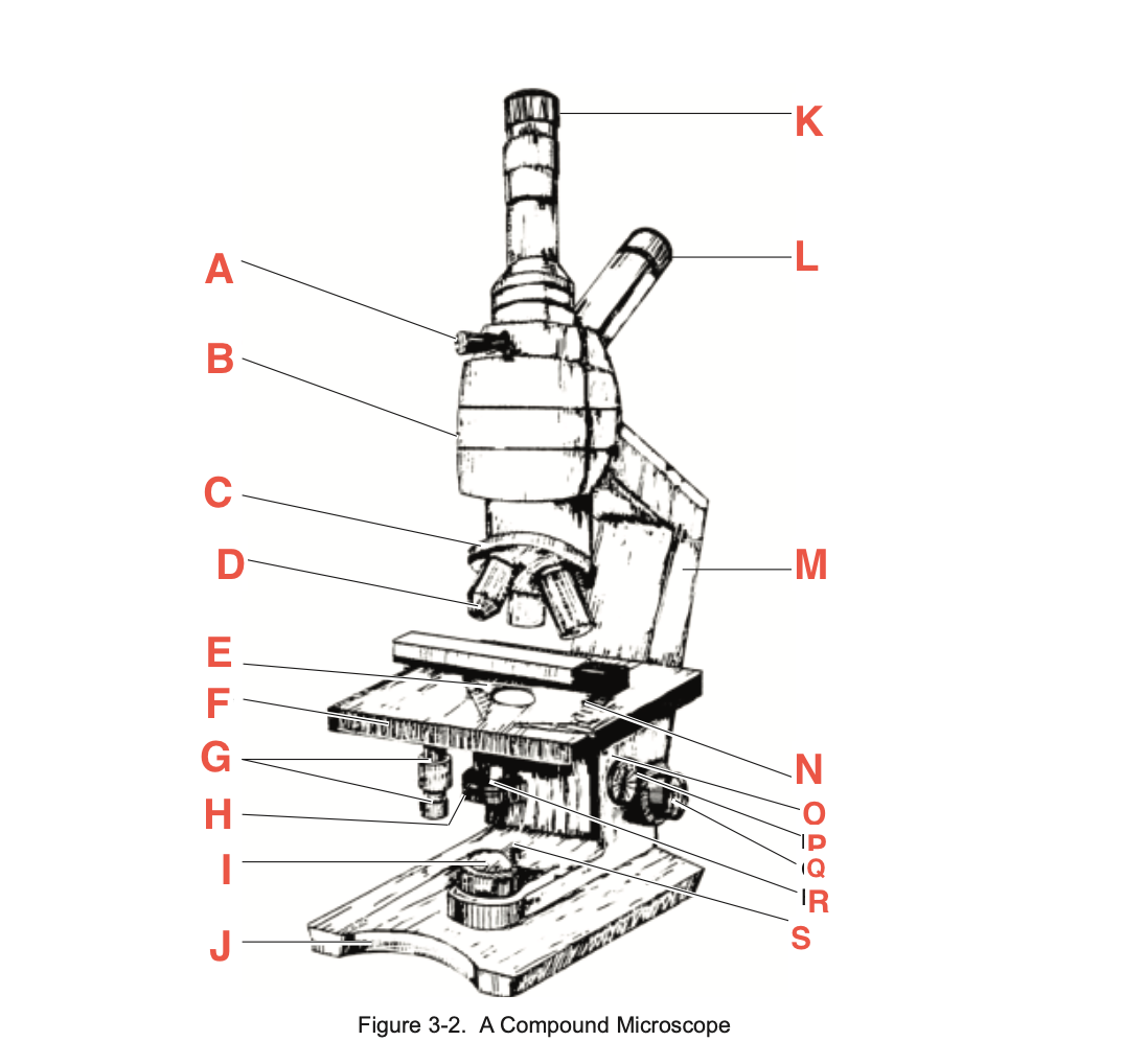 <p>What is N</p>