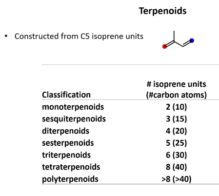 <p>Constructed from C5 isoprene units</p>
