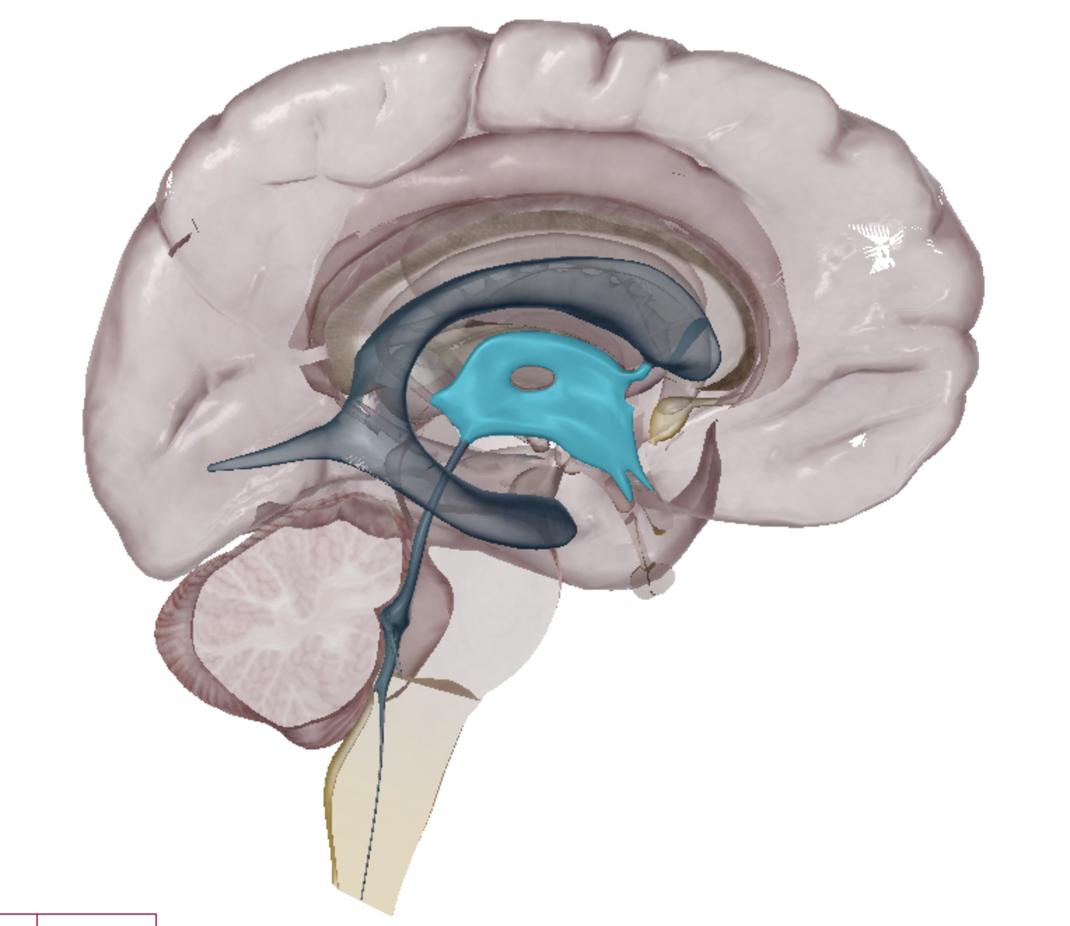 <p>what is highlighted </p>