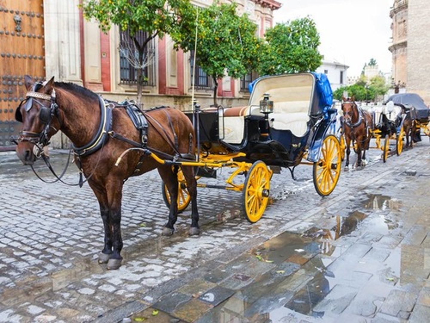 <p>Midday parade of horses, horse-drawn carriages, and riders at the fair.</p>