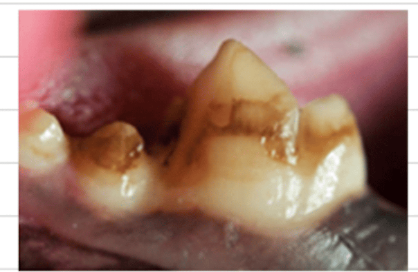 <p>what is the problem?</p>