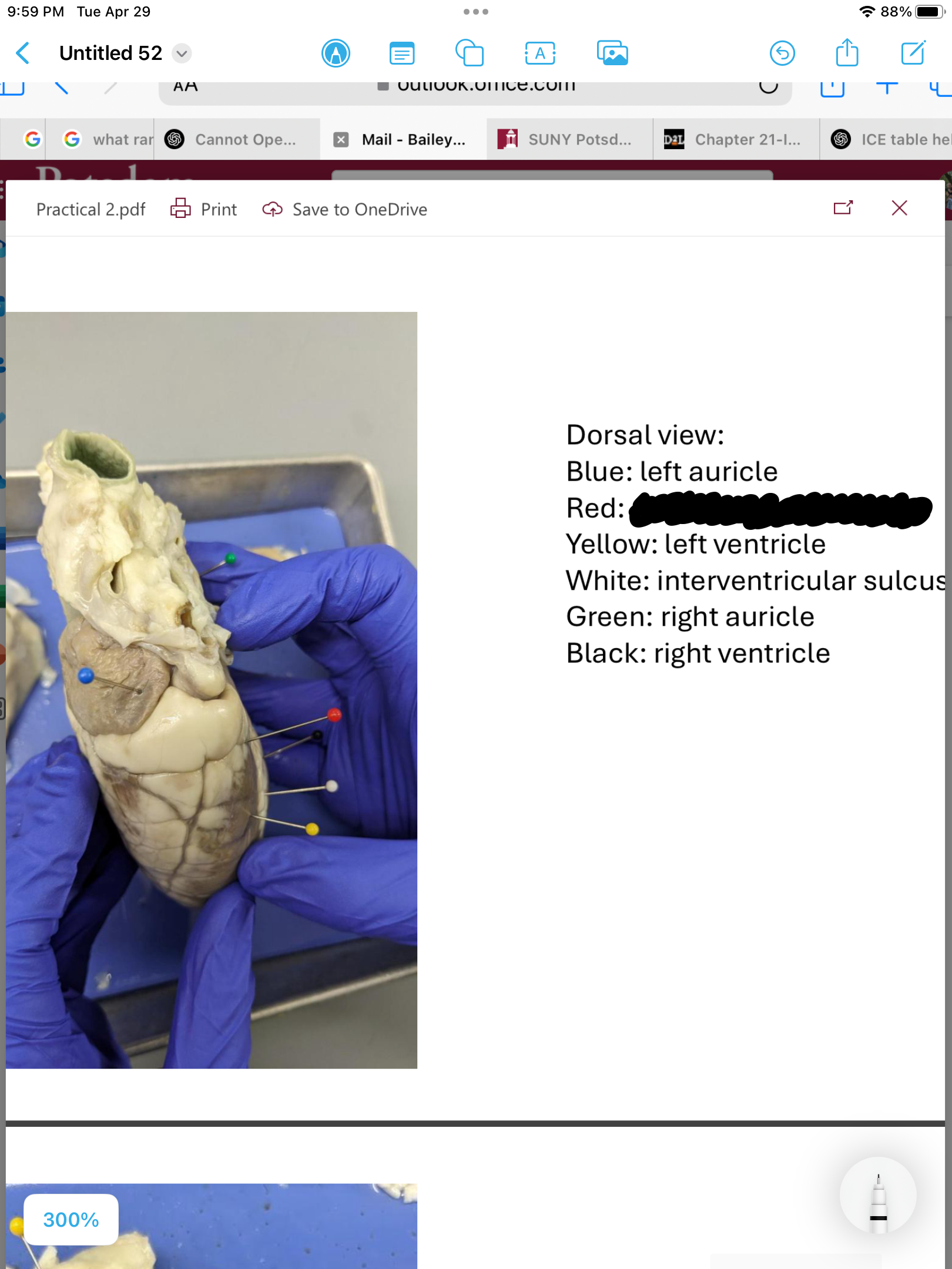 <p>label the area</p>