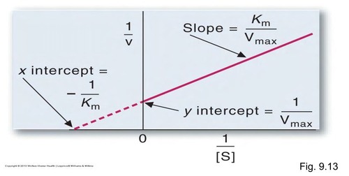 <p>Slope = Km/Vmax Y-intercept = 1/Vmax X-intercept = - 1/Km</p>