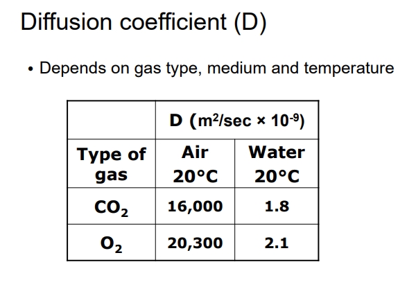 <ul><li><p>Unique for each gas and can be influenced by the medium (air vs water).</p><ul><li><p>Diffusion occurs faster in air compared to water (10,000 times faster).</p></li></ul></li></ul><p></p>