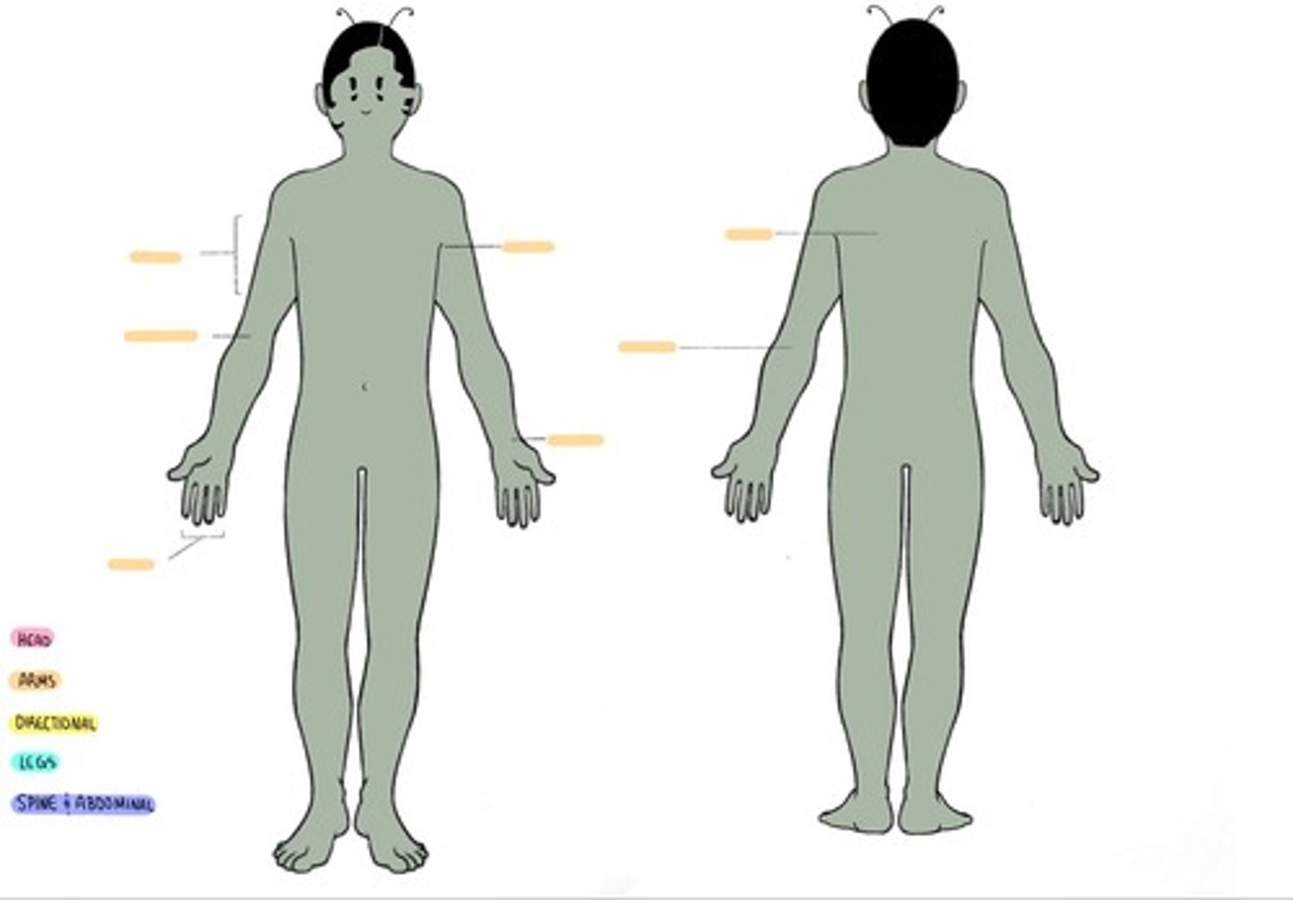 <p>1. A_______ (arm pit)</p><p>2. B________ (upper arm)</p><p>3. A__________ (front of the elbow)</p><p>4. O__________ (back of the elbow)</p><p>5. A____________(forearm)</p><p>6. C_______ (wrist)</p><p>7. P______ (front of the hand)</p><p>8. D________ (back of the hand)</p><p>9. P_____ (thumb)</p><p>10. P__________ (fingers/digits)</p>