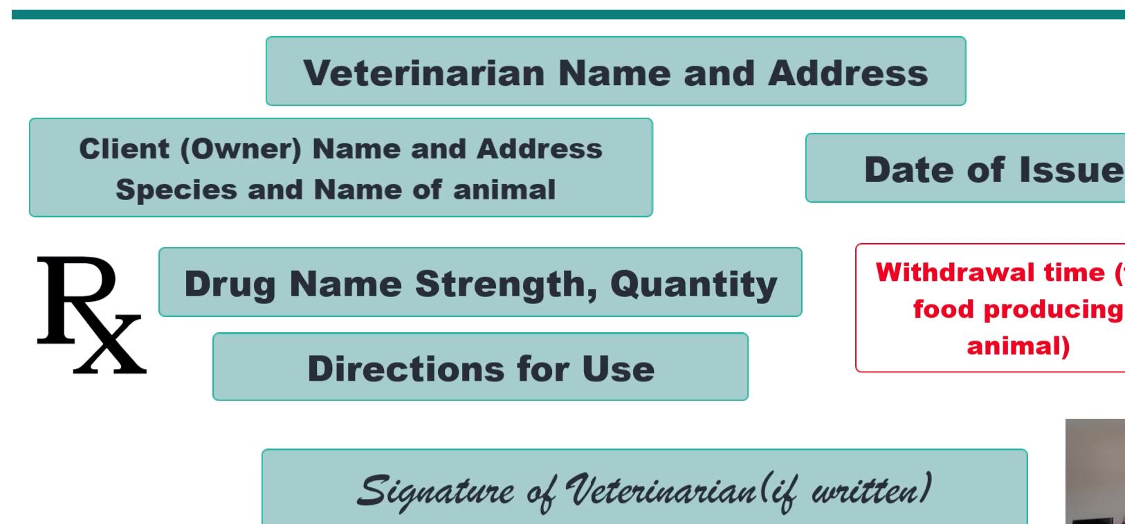 <ul><li><p><strong>client (owner) name and address + species and name of animal</strong></p></li><li><p>date of issue</p></li><li><p>veterinarian name and address</p></li><li><p>drug name, strength, quantity</p></li><li><p>directions for use</p></li><li><p>signature of veterinarian (if written)</p></li><li><p><strong>withdrawal time (for food-producing animal)</strong></p></li></ul><p></p>
